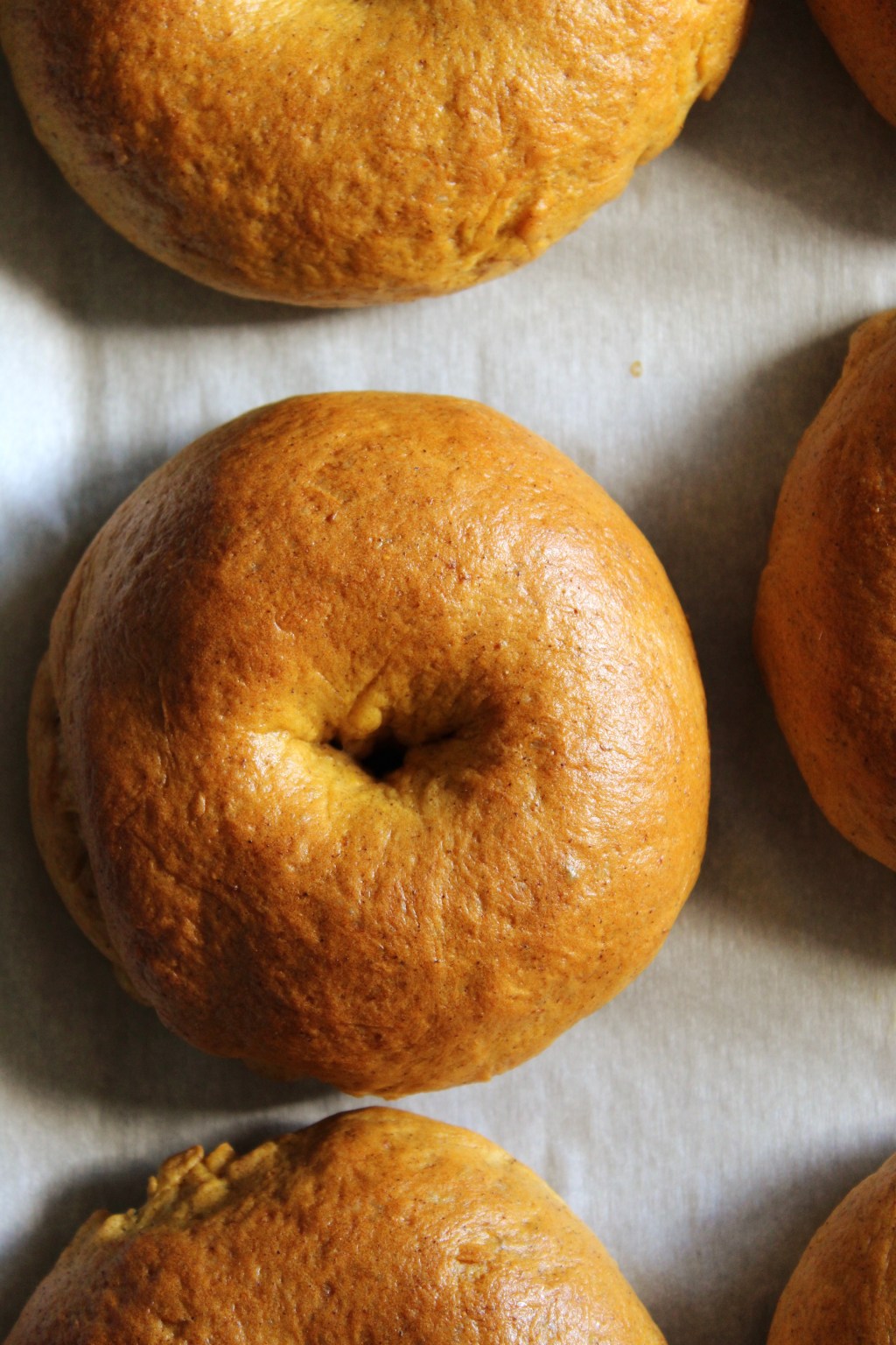 Pumpkin Bagels